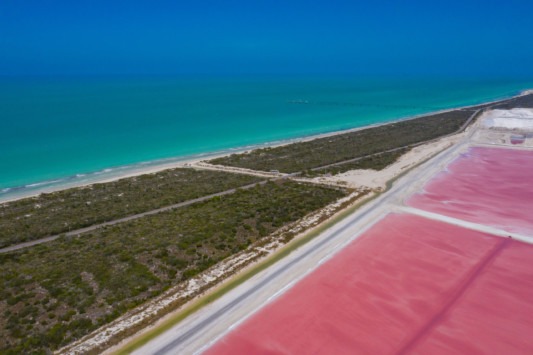 Río Lagartos- Las Coloradas